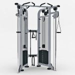 Dual Adjustable Pulley set by Life Fitness. Part o...
