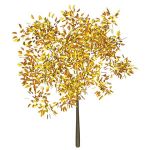 Realistic tree with yellow leaves