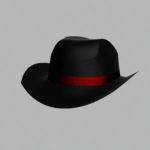 Elegant black hat