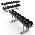 Life Fitness Strength Signature Series Dumbbell Ra...