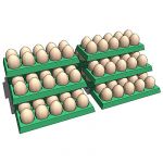 Eggs in pack (10 pcs).
Usage tips: Use in Superma...