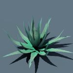View Larger Image of Agave 02