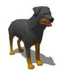 View Larger Image of Rottweiler