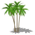 View Larger Image of Low Poly Palm Tree