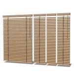 View Larger Image of FF_Model_ID8896_blinds.jpg