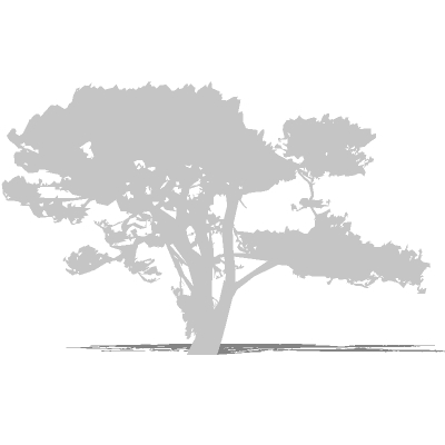 2D Face Me tree silhouette. In white, for ghosting.... 