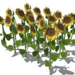 Low poly sunflower patch. Poly count is for entire...