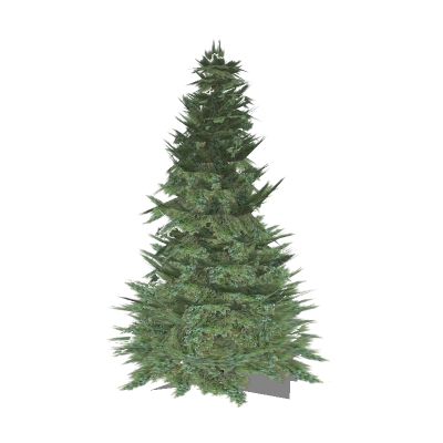 Low-poly small conifers...freestanding and in plan.... 