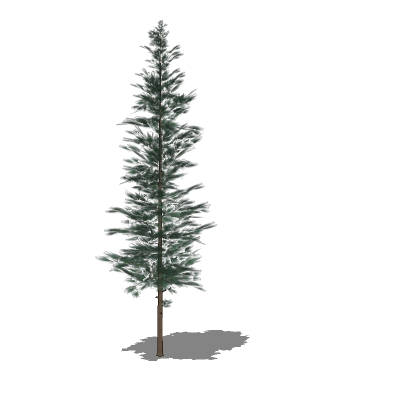 Low-poly generic conifers. These are all around 40.... 