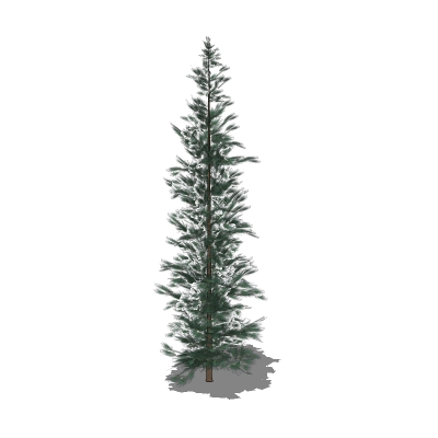 Low-poly generic conifers. These are all around 40.... 