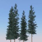 Low-poly generic conifers. These are all around 40...