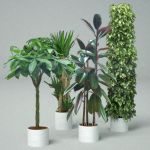 HQ plants are 2D billboards in a 3D pot (in order ...