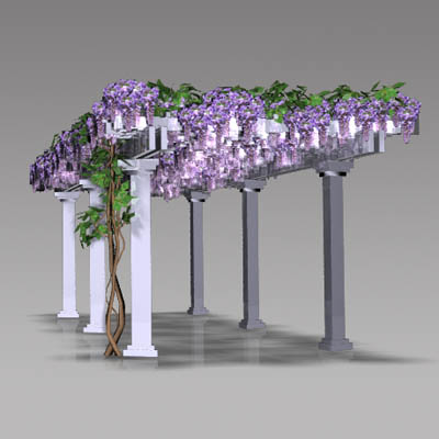 Pergola with wisteria plant. This is available in .... 