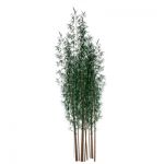 Low poly, image-based tree bamboo. Each configurat...