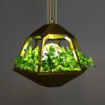Vicky Lamp by Jose delaO. Designed for growing edi...