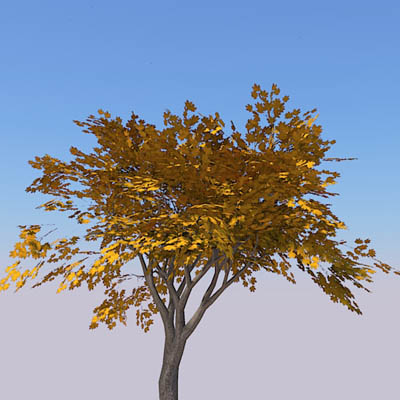 Small generic tree (9-10ft) with 4 seasonal variat.... 