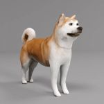 A low poly Akita, mapped by simple 
image side pr...