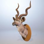 Mounted Kudu head. Available in 
mapped and verte...