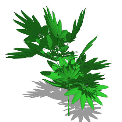 Generic, low-poly houseplant/tropical garden plant. 