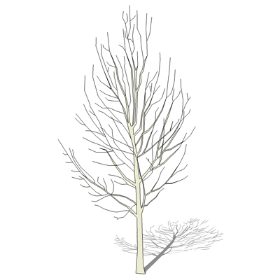 winter tree 3D Model - FormFonts 3D Models & Textures