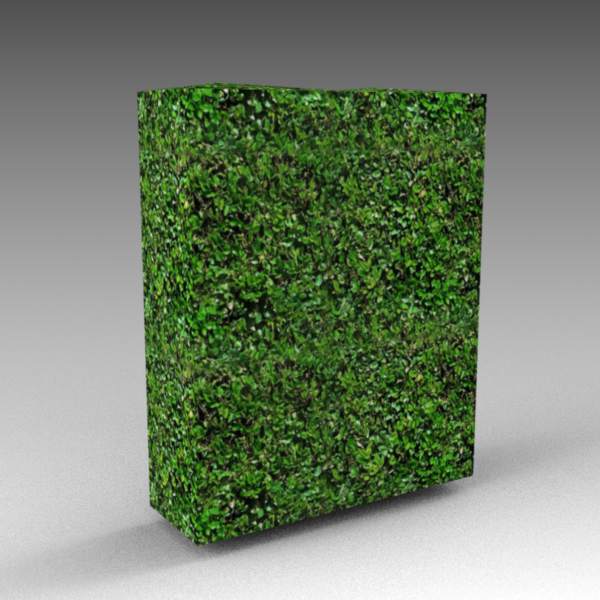 A 6ft / 2m high hedge module with slightly uneven .... 