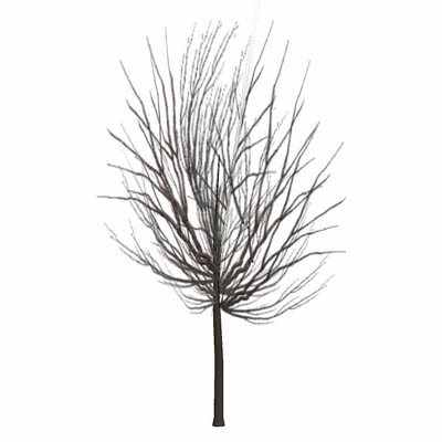 Very low-poly tree (50 faces). It casts no shadow,.... 
