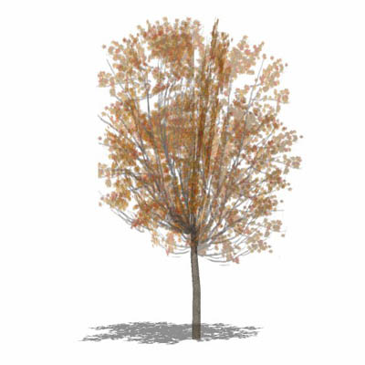 One of a series of very low-poly trees (57 faces),.... 