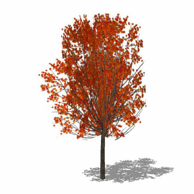 One of a series of very low-poly trees (57 faces),.... 