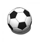 Standard black and white soccer ball