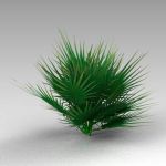 A small fan palm approx 5' / 1.8m high.
SketchUp ...