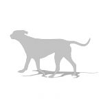 2d cut-out figure of a dog - note: outline and fil...