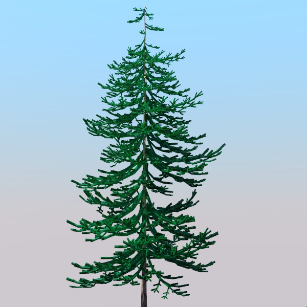 Generic pine tree for use medium distance. It has .... 