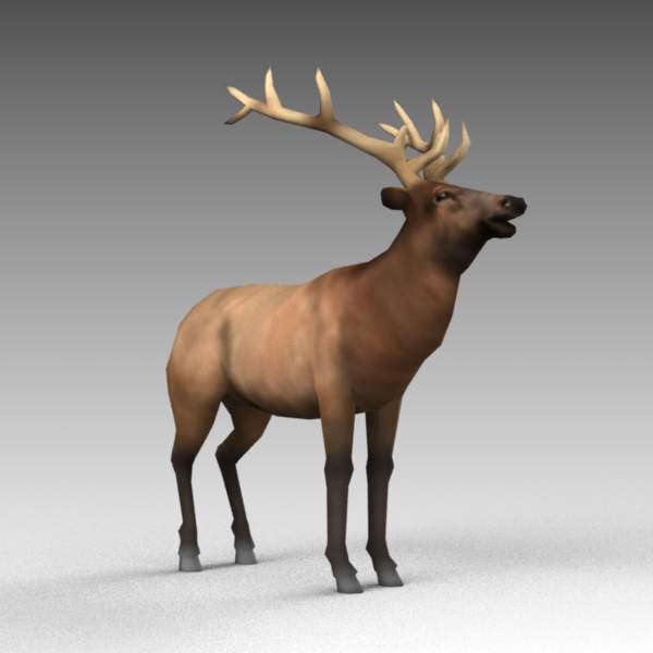 A male elk with simple side mapping. Dwg version i.... 