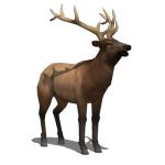 A male elk with simple side mapping. Dwg version i...