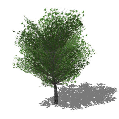 Generic tree in opaque and semi transparent config.... 