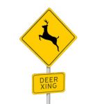 US Deer Crossing road sign, codes W11-3, W11-3p