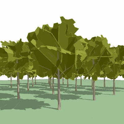 View Larger Image of FF_Model_ID10758_ArchiTREE_Broad_2.0_3D_Final.gif