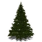 View Larger Image of Christmas Trees