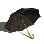 View Larger Image of Hand Umbrellas