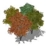 View Larger Image of FF_Model_ID12786_trees.jpg
