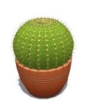 View Larger Image of Barrel Cactus