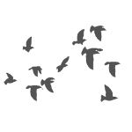View Larger Image of Bird flocks