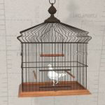 View Larger Image of FF_Model_ID16536_Gen_Bird_Cage_01.jpg