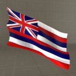 View Larger Image of Hawaiian Flags