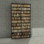 View Larger Image of Bookshelves dark