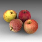 View Larger Image of FF_Model_ID18997_1_apples.jpg