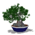 View Larger Image of FF_Model_ID4660_Juniper_bonsai.jpg