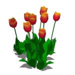 View Larger Image of FF_Model_ID5323_tulips01.jpg