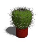 View Larger Image of FF_Model_ID5798_cactus.jpg