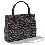 View Larger Image of bottega handbag